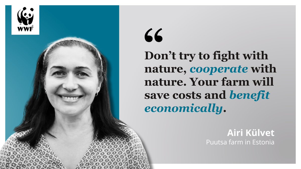WWFBaltic's tweet image. During yesterday’s #SustainableFarming panel, Airi Külvet from Puutsa farm in 🇪🇪 stated the vital importance of working with nature, not against it. She also provided insight into the realities of eco-schemes and why shifting to results-based payments may be the way forward.
