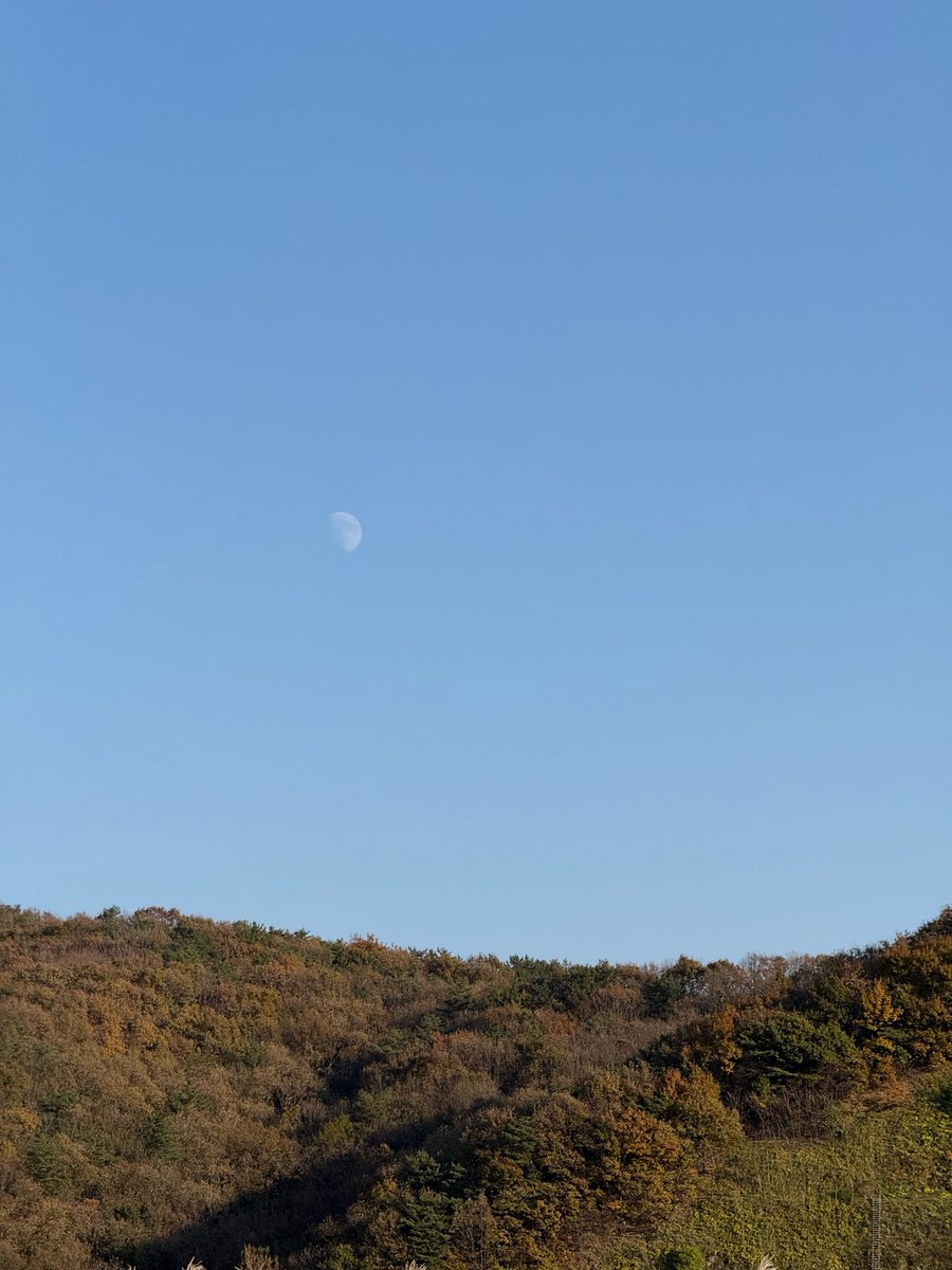 241121 🧸🌙
오늘 수고 많았어요... 
으누도 잘 자용~ 
#차은우 #CHAEUNWOO