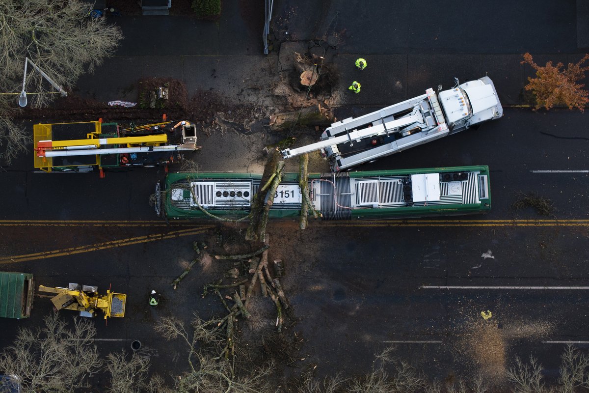 David Ryder tweet media