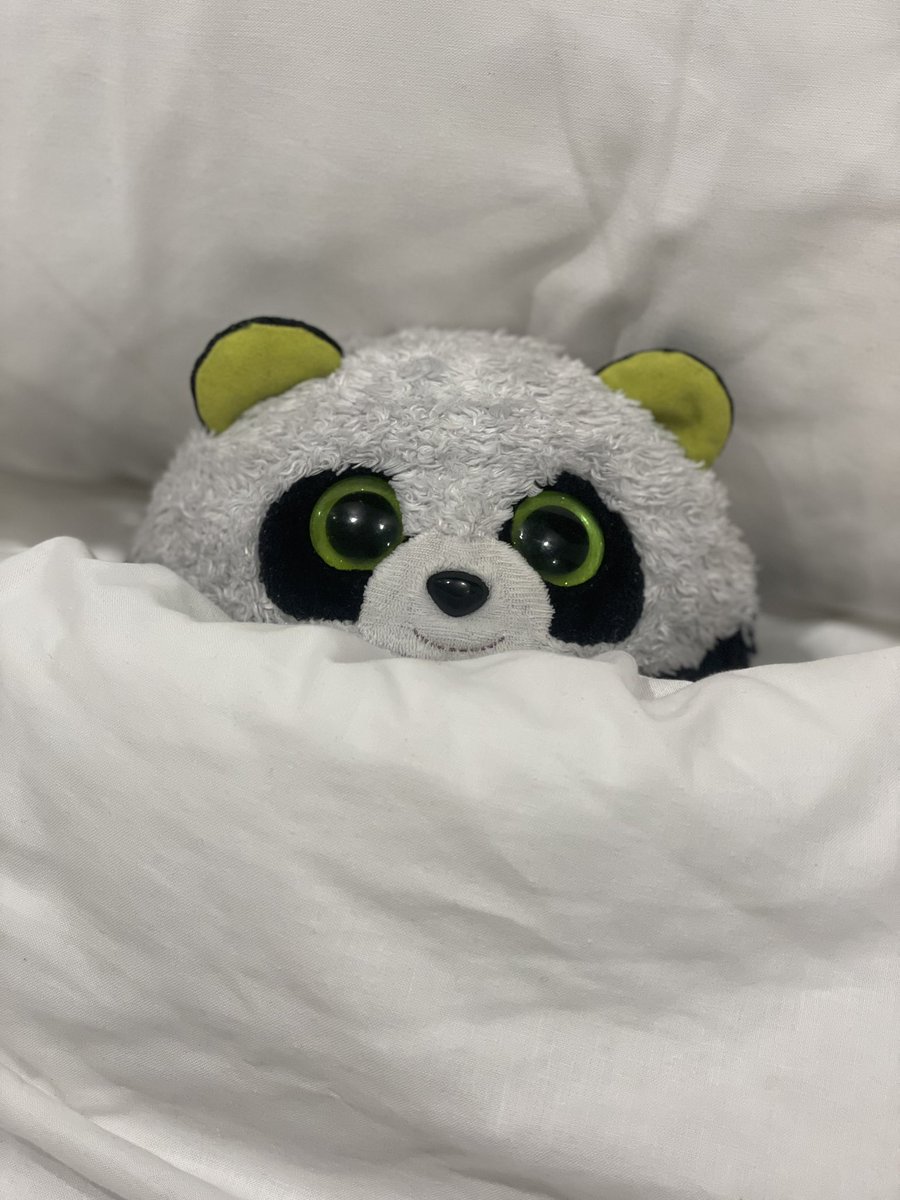 MrPandaJPanda's tweet photo. Had a late night at the BBQ Competition last night! The #FestivalDeLaGastronomie is such fun! #SXM #BBQ #Panda #Travel #Adventure 🐼 https://t.co/smtfFOHRsb
