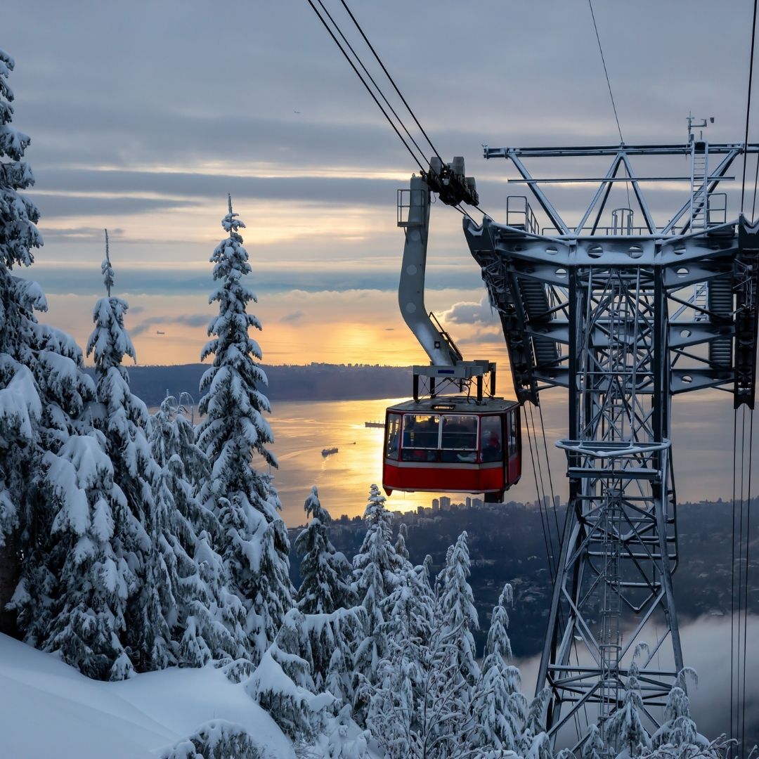 Jami Savage tweet media