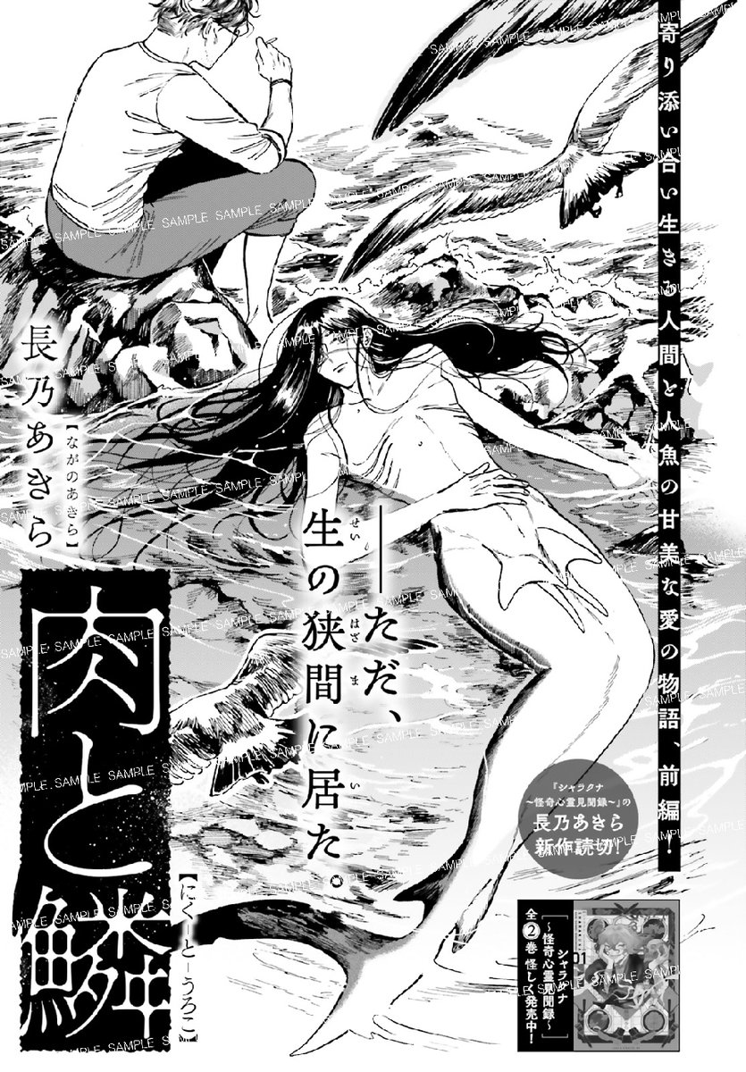 #ASUKA 読切シリーズ

寄り添い合い生きる人間と、
人魚の甘美な愛の物語。

『肉と鱗』
長乃あきら 