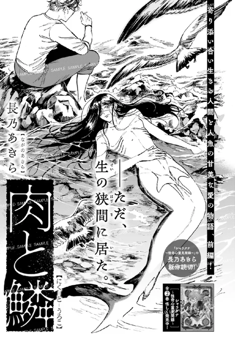 #ASUKA 読切シリーズ

寄り添い合い生きる人間と、
人魚の甘美な愛の物語。

『肉と鱗』
長乃あきら 