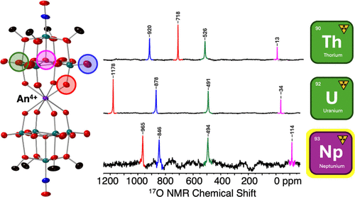 Ken Lo (@bhkenlo) on Twitter photo Venturing Past Uranium: Synthesis of a Np(IV) Polyoxomolybdate–Alkoxide Sandwich Complex | Inorganic Chemistry pubs.acs.org/doi/10.1021/ac… <a href="/TheBartLab/">Bart Lab</a> <a href="/MatsonLab/">The Matson Lab</a> and co-workers <a href="/InorgChem/">Inorganic Chemistry</a> #uranium #neptunium #polyoxomolybdate #17O #unpared_f_electrons Venturing Past Uranium: Synthesis of a Np(IV) Polyoxomolybdate–Alkoxide Sandwich Complex | Inorganic Chemistry pubs.acs.org/doi/10.1021/ac… <a href="/TheBartLab/">Bart Lab</a> <a href="/MatsonLab/">The Matson Lab</a> and co-workers <a href="/InorgChem/">Inorganic Chemistry</a> #uranium #neptunium #polyoxomolybdate #17O #unpared_f_electrons