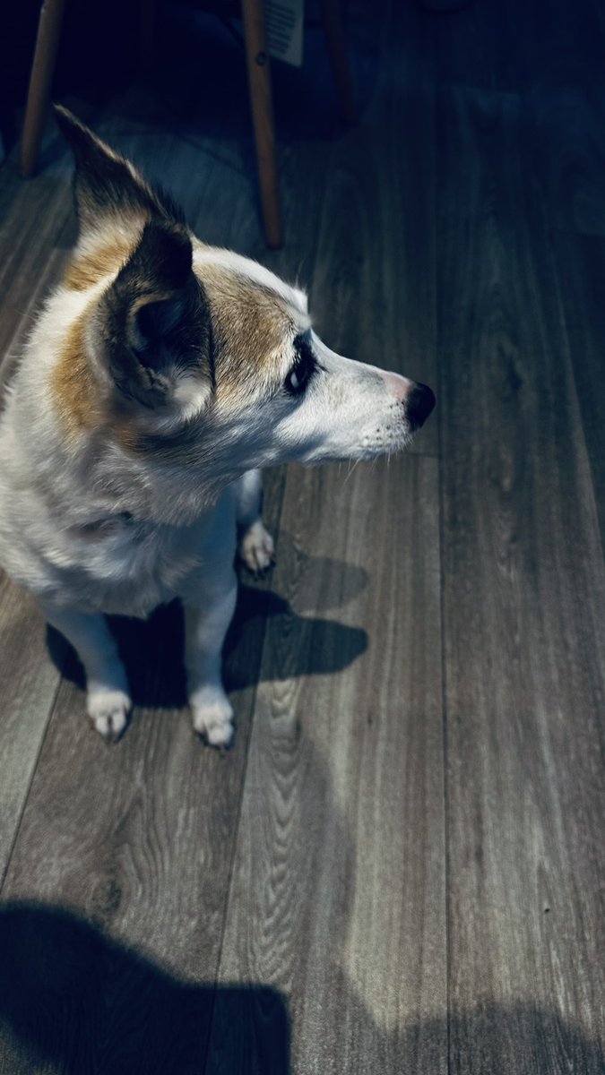 HelveteCosplays's tweet photo. My little old man ^^ https://t.co/PkmQthXrzM