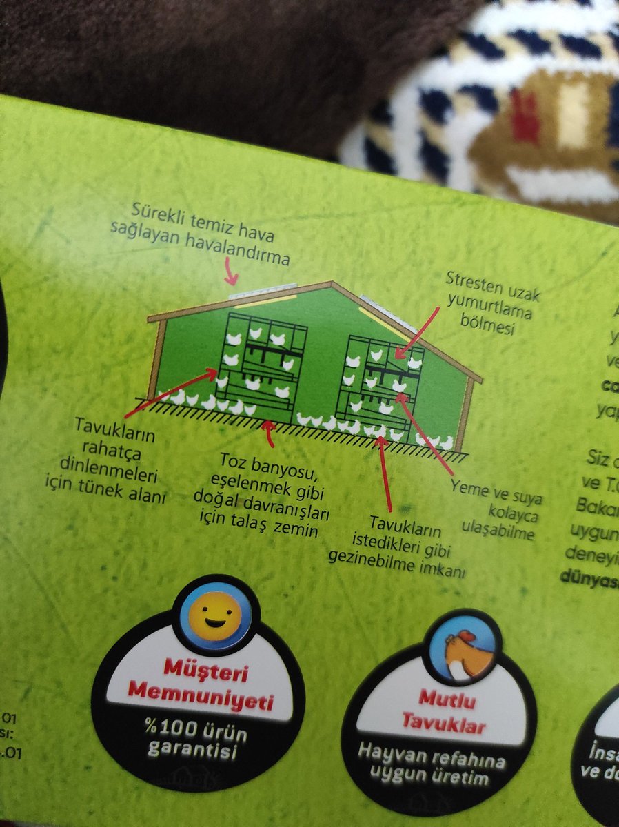 Organik yumurta tavuğusun diye mutlusun sanıyorlar