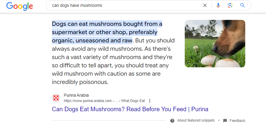 Lily Ray 😏 tweet media