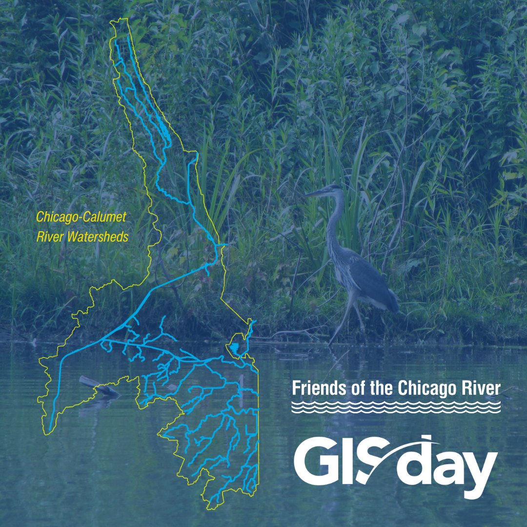 Friends of the Chicago River tweet media