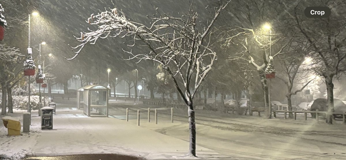 mumatoo's tweet photo. @royalhospital hi all just wondered if you do any printing of Christmas cards for our charity as I’d like to put my photo forward for that if you do! It’s defo a perfect picture postcard photo. https://t.co/J7e6GiGftF