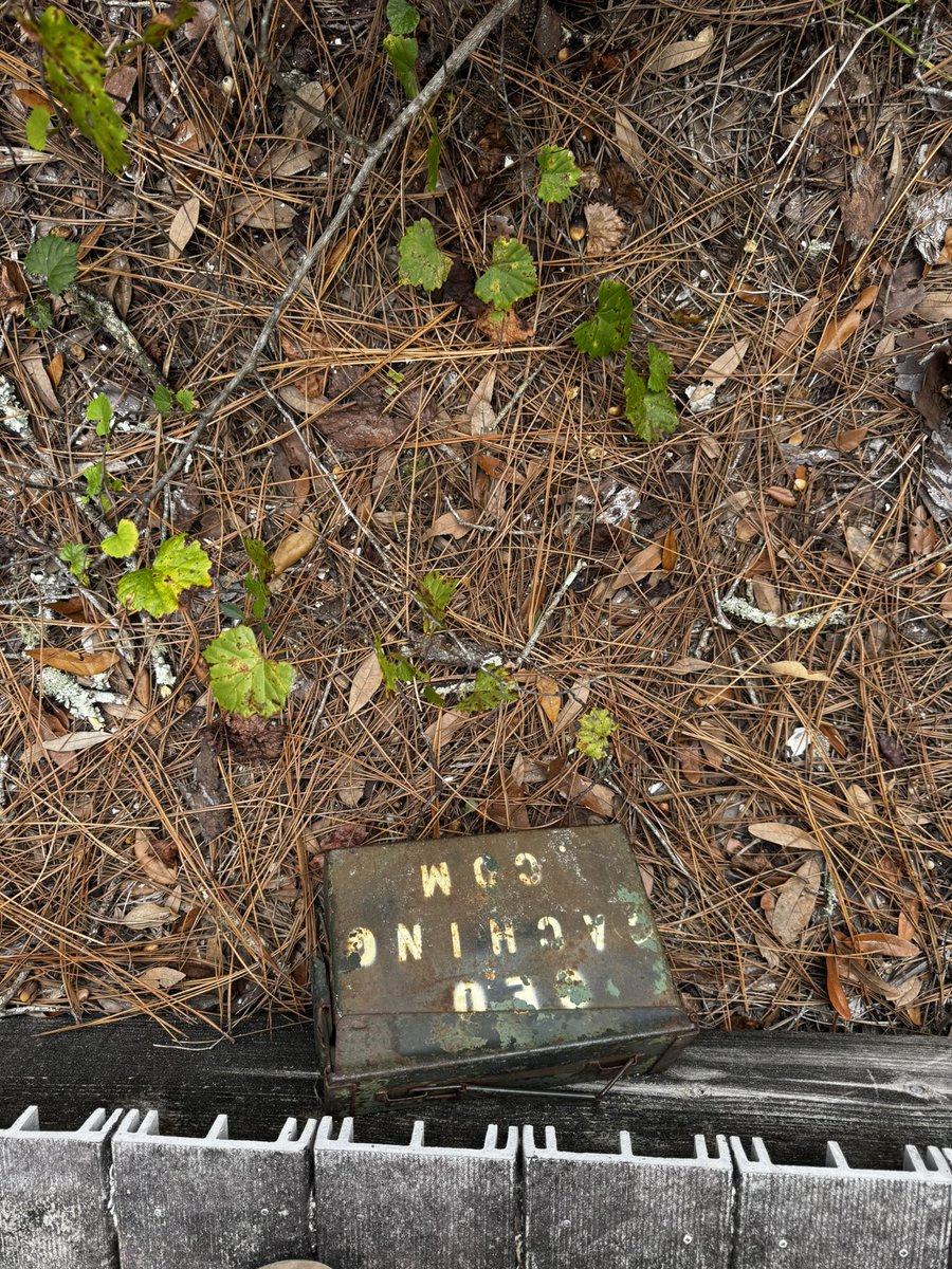 MelsMisadventures tweet media