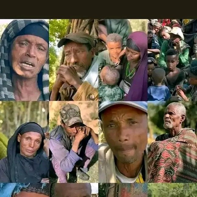 salabayan4's tweet photo. Link X kana Seenaa tweet retweet godhaa? Ummata keessanii Sagalee ta'aa?
በዚህ ሊንክ እየገባችው X ላይ ቲውት አድርጉ ለህዝባችው ድምጽ ሁኑ ።
Link:
https://t.co/yKkQKt2jpk…  

#OromoBloodCries #EndOromoGenocide #JusticeForOromos 
#OromoBloodCries 

#highlights #highlig https://t.co/3TV5sWHxZ3