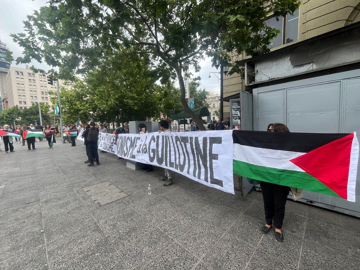 Coordinadora por Palestina tweet media