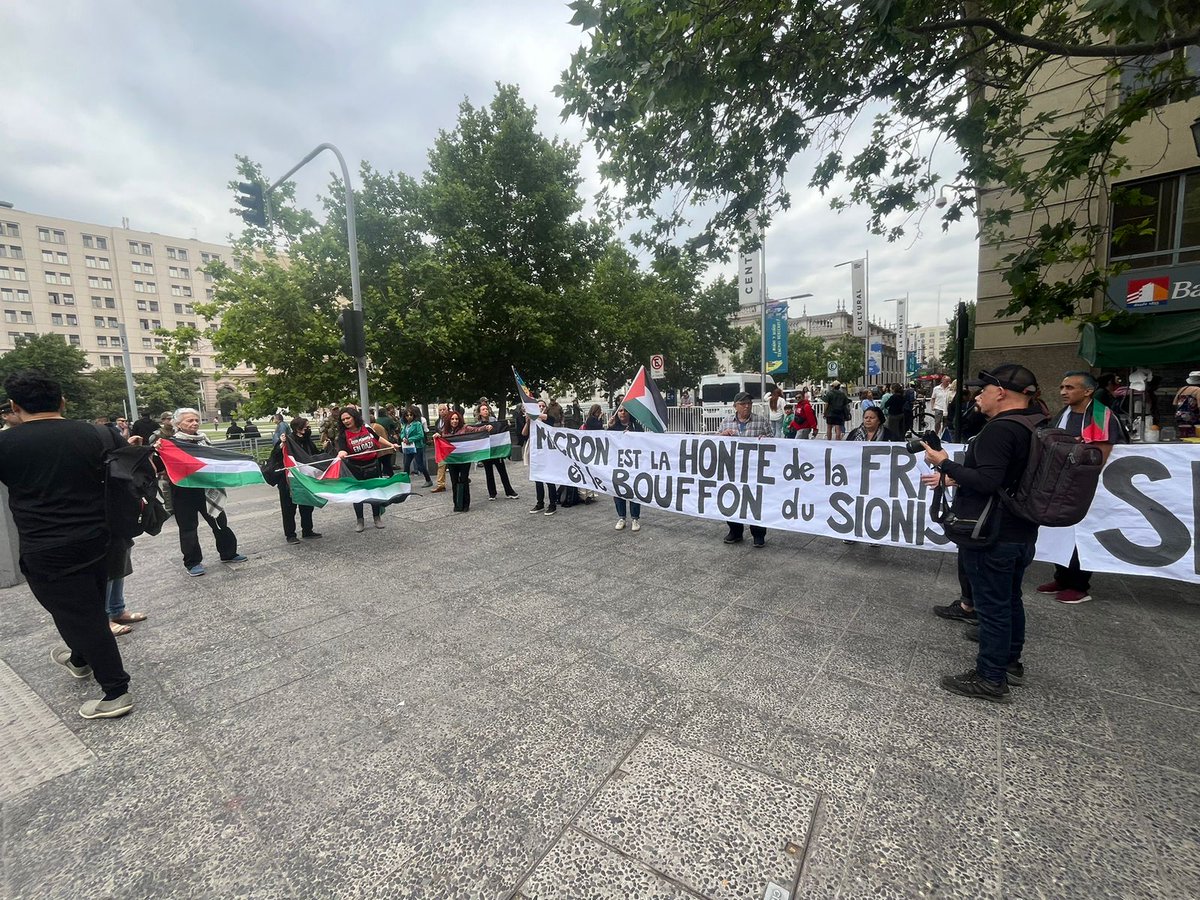 Coordinadora por Palestina tweet media