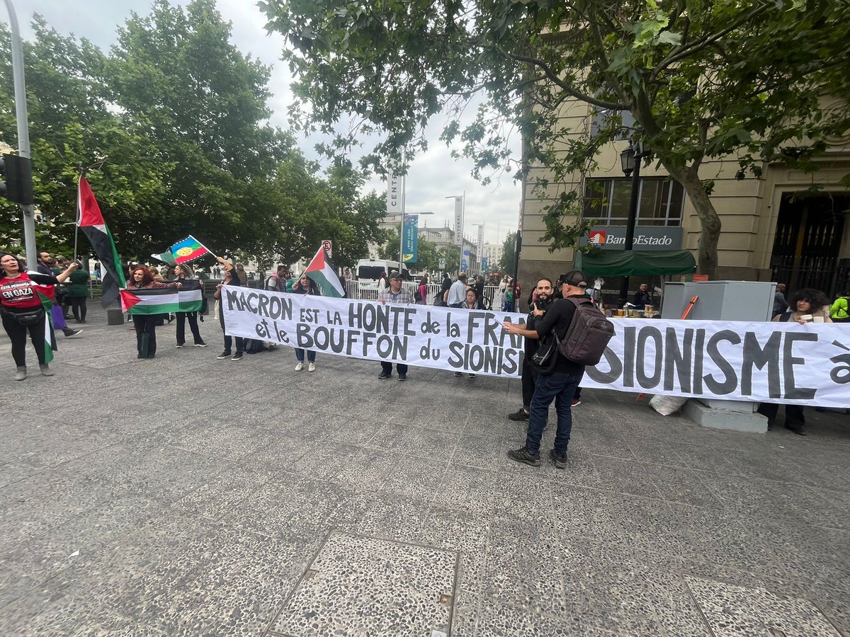 Coordinadora por Palestina tweet media