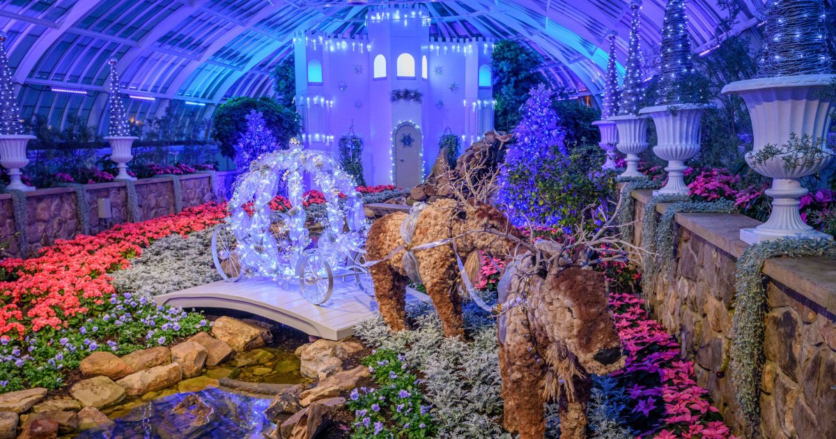 Watch as the East Room goes from day ☀️ to night🌙 with just one swipe! 

While the glasshouse shines during the day, the fun really begins at night. Phipps Holiday Magic is open until 10 p.m. tonight.  

Learn more: phipps.conservatory.org/calendar/detai…

Photo © Paul g. Wiegman