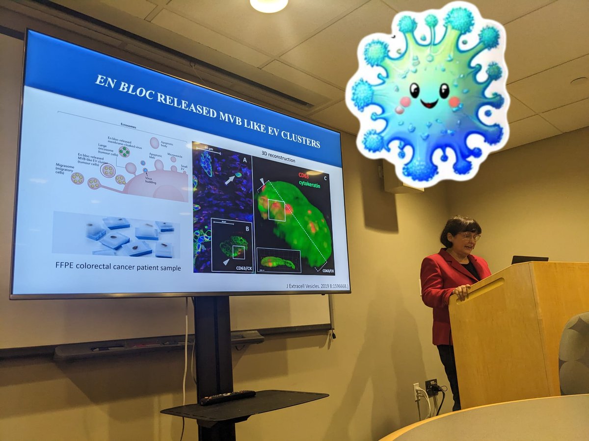 <a href="/EditBuzas/">Edit Buzas</a> gives a fascinating talk about a new ectosomal biogenesis pathway of small EVs/exosomes - linked to the autophagosome system! <a href="/LabWitwer/">LabWitwer</a> EXCEL #EVCore education day