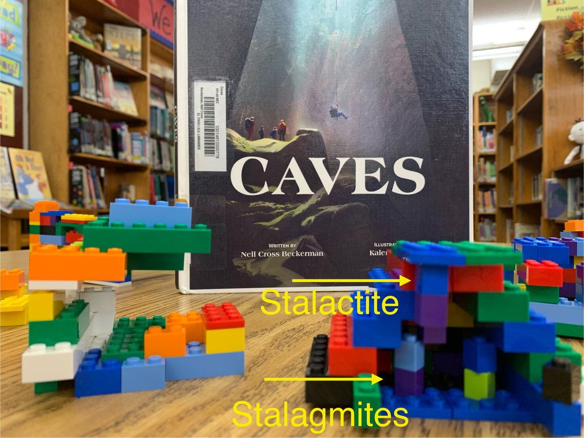 Lamar Library EPISD tweet media