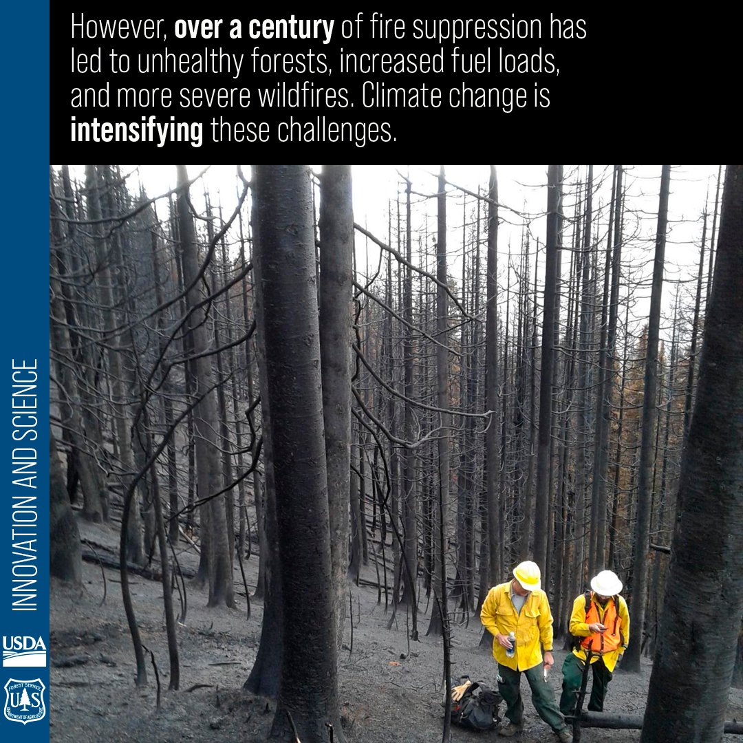 For this #ClimateWednesday, we're talking prescribed fire. Learn how it can help restore balance and strengthen forest resilience from the USDA Northwest Climate Hub. climatehubs.usda.gov/hubs/northwest…