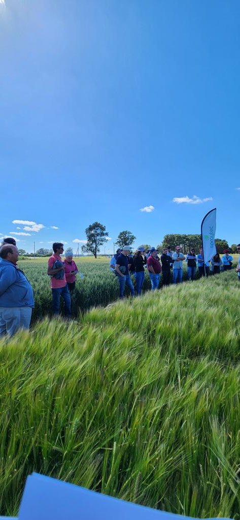 JonatanMauro1's tweet photo. Miércoles de recorrida
Novedades @Syngenta_ar en #Biológicos para protección de semillas #Ikodes y foliar como #Megafol
#Trigo #cebada cubiertos con las estrategias de manejo en el control de enfermedades 🍄🟫🌾👨🌾
#MiravisTriplePack
#ElatusAce
#Vibrancegold
#VibranceIntegral https://t.co/Mc6JVuhyfq