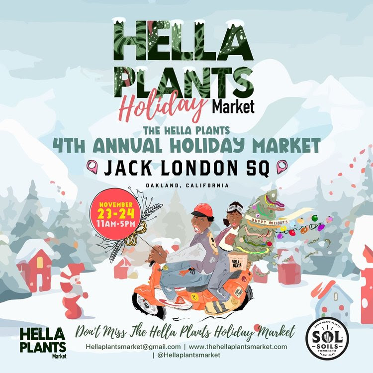 Only one week until Hella Plants Holiday Market! 

🎉 Who’s excited for exclusive holiday deals? Find us at booth on Sunday November 24th! 🌿 #HellaPlantsHoliday #CountdownToHellaPlants

Head over to @hellaplantsmarket for tickets!