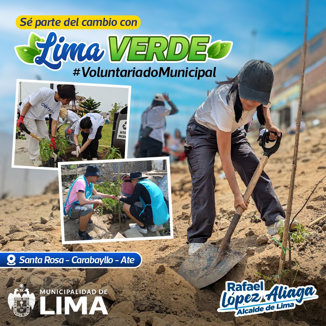 MuniLima's tweet photo. ¡Únete al #VoluntariadoMunicipal! 🪴🌱
Más jóvenes se suman al programa #LimaVerde. Esta vez se sembraron árboles en los distritos de #SantaRosa #Carabayllo y #Ate, dejando una huella verde en nuestra ciudad.🤗
¡Por una Lima #sostenible! ¡Sé parte del cambio! 🫡 https://t.co/HSjJE51ezt