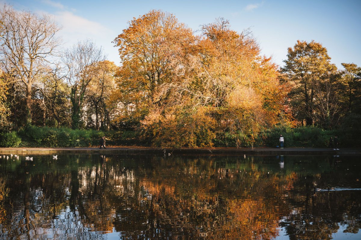 Thomas Fitzgerald tweet media