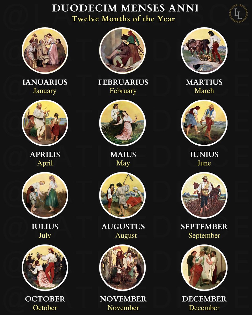 Learn Latin tweet media