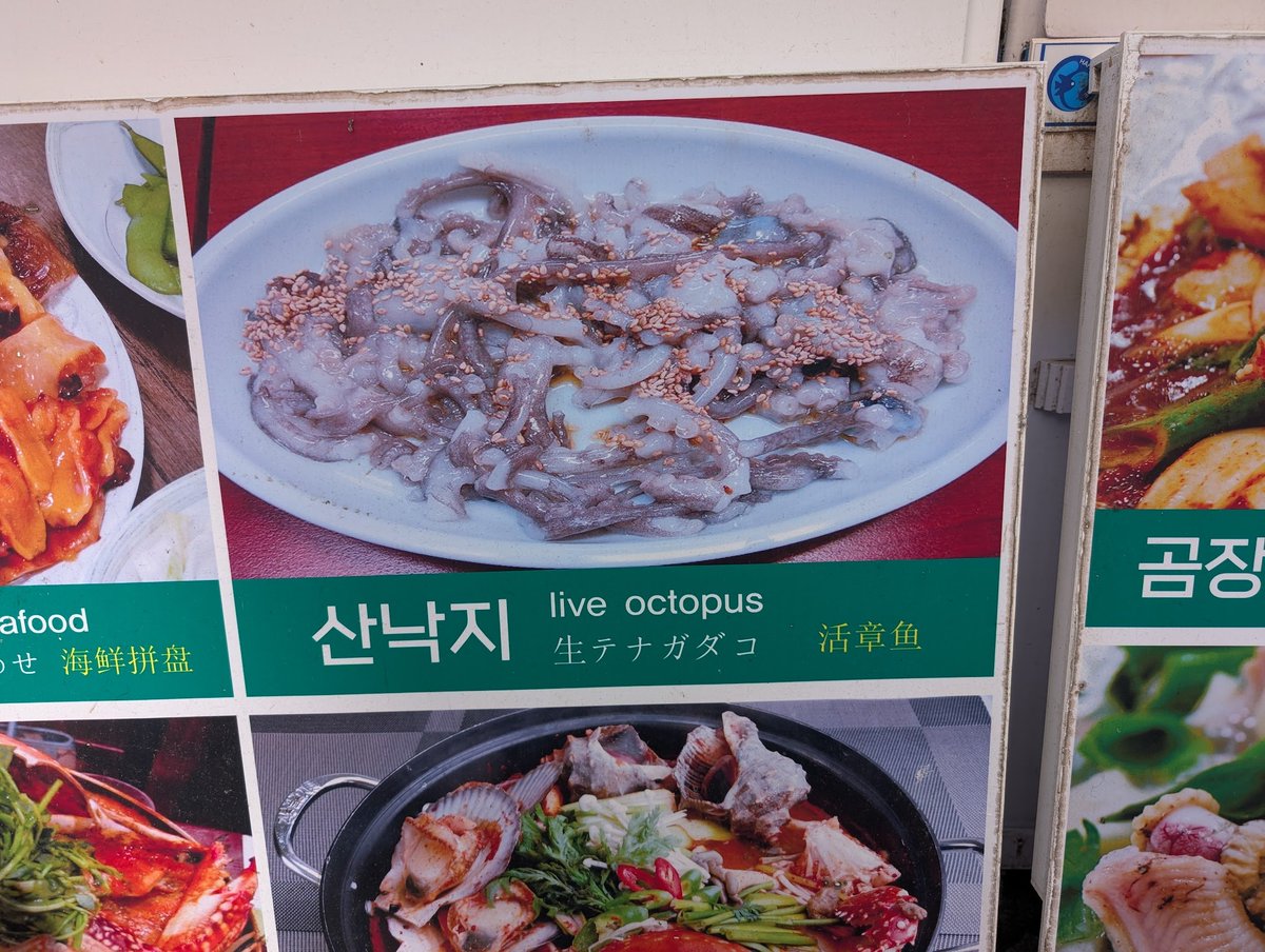 This is a popular dish here in Busan in South Korea. And it's the perfect thing for a hungry belly. I took one look at it and quickly lost my appetite.