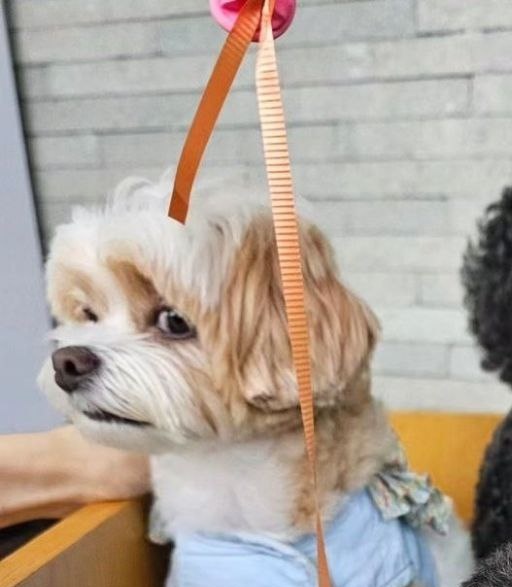 به اکسوی گروهی بگین برگردن شاید خوششون اومد
<a href="/weareoneEXO/">EXO</a> #EXO