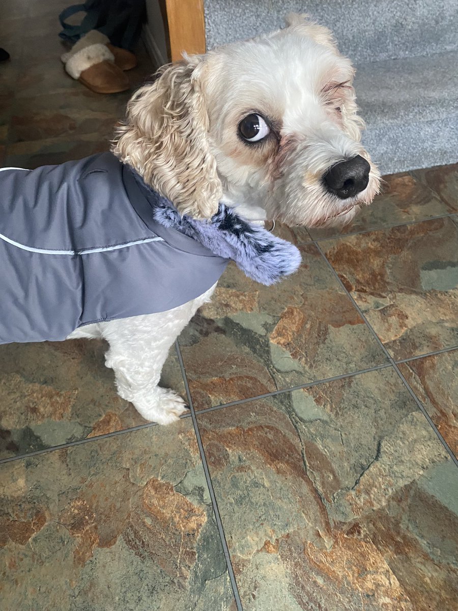 Sarah Freeney tweet media