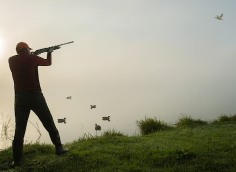 Lieber <a href="/Venitroll/">Veni aka Eisler 🏳️‍🌈</a> , 
Wenn Red Bull Flügel verleiht, dann ist Dr. Nik Sarafi wohl der Jäger, der mit der Flinte auf die Enten schießt.

Jeder macht mal Fehler. Wichtig ist nur, dass man daraus lernt und sich in seiner Persönlichkeit weiterentwickelt. 

Alles Gute für deine