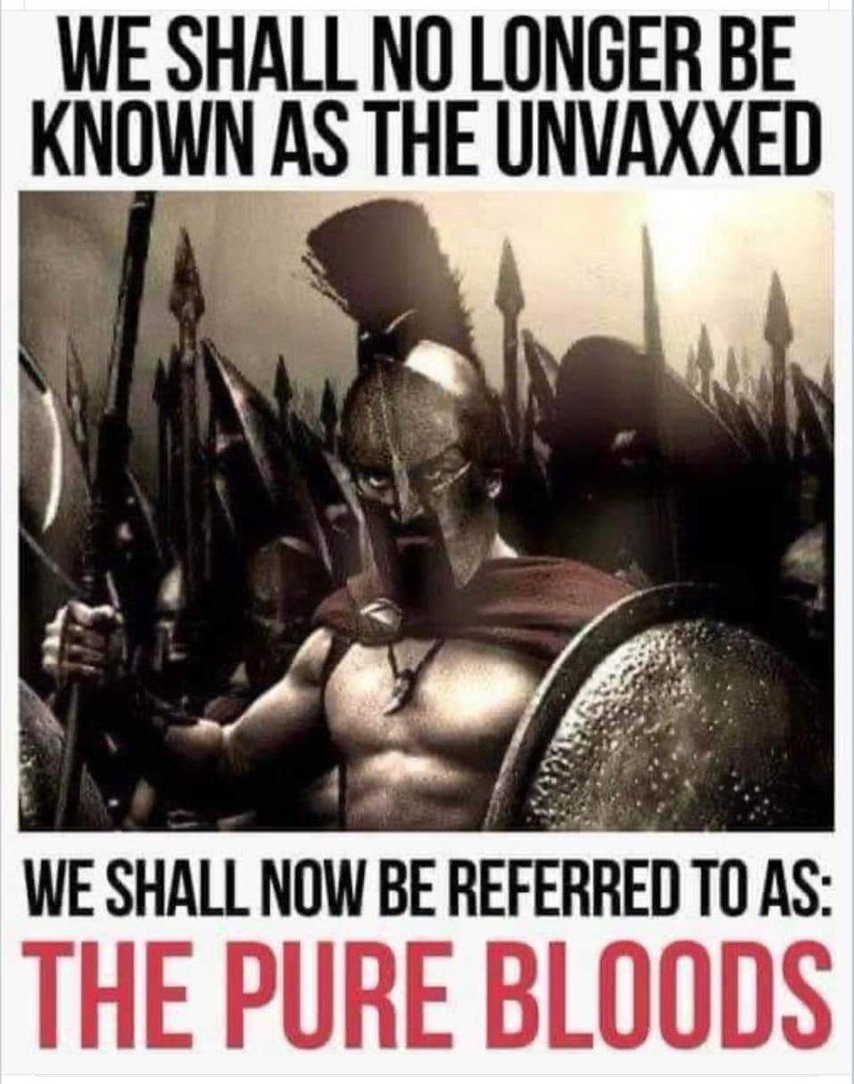 repomon's tweet image. 