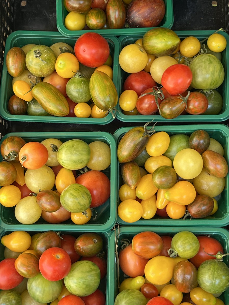 VERDE URBANO🍌🥬🍎
¡#FelizMiércoles! Si eliges orgánico y local, todos en tu hogar querrán repetirse el plato. Para ello, acude a Padre Mariano 140, de 10:00 a 15:00hrs, y abastécete con lo mejor de lo mejor. ¡Conoce más detalles en la imagen y acude!👇🏽