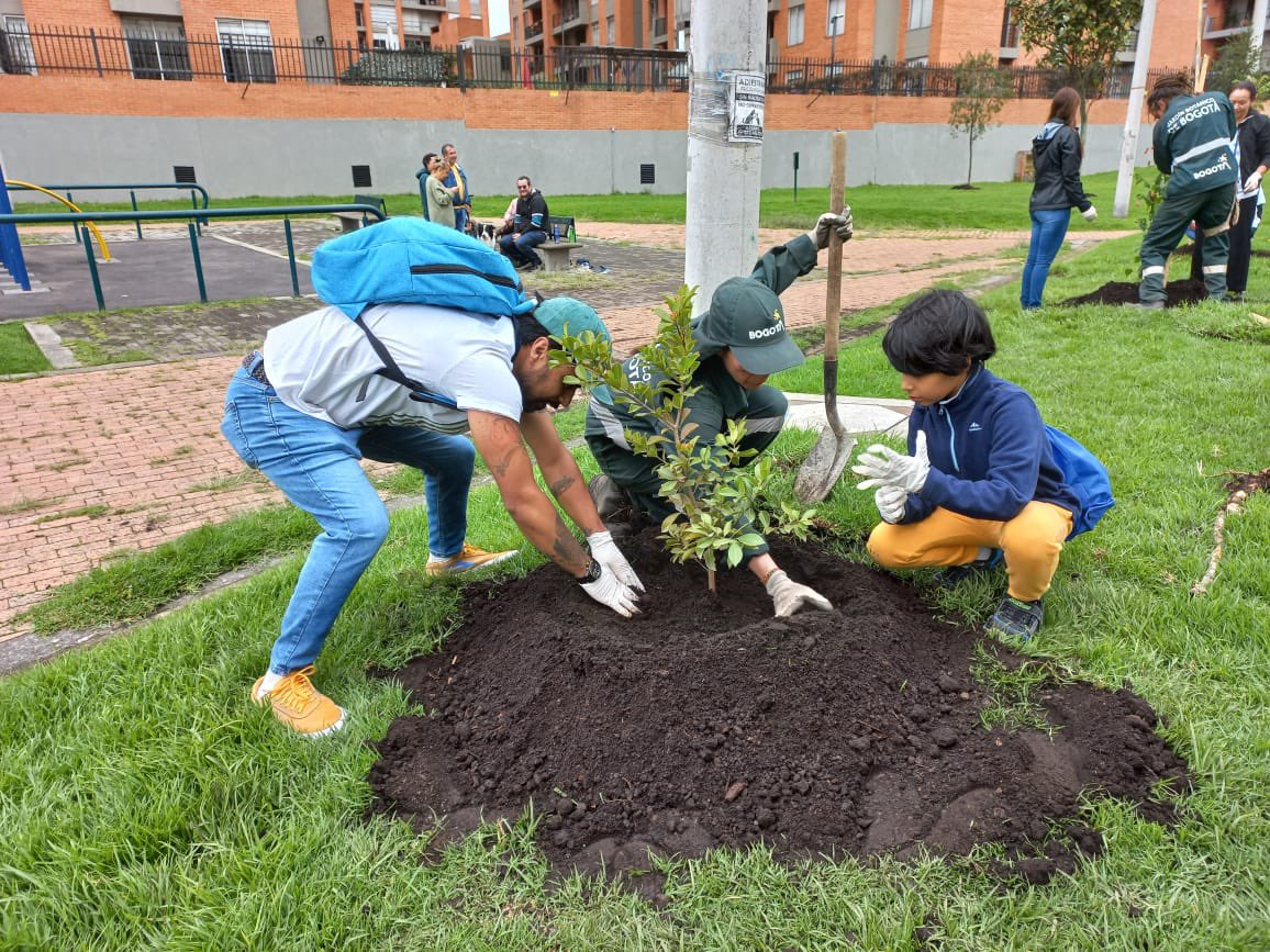 Jardín Botánico BOG tweet media