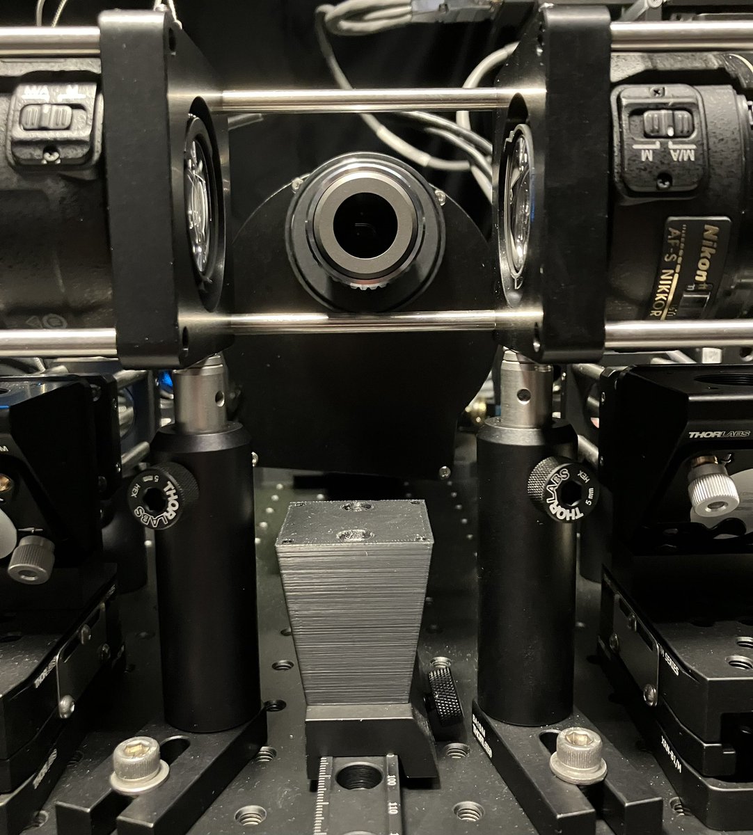 CLangevin_INRAE's tweet image. Last week was very productive for the French @MesoSpim team of @UnivParisSaclay. After receiving the missing galvo mirror, we finished aligning the lasers and imaged the first sample of a long series!!! @INRAE_DPT_SA @ENS_ParisSaclay @in_emerg @INRAE_IDF