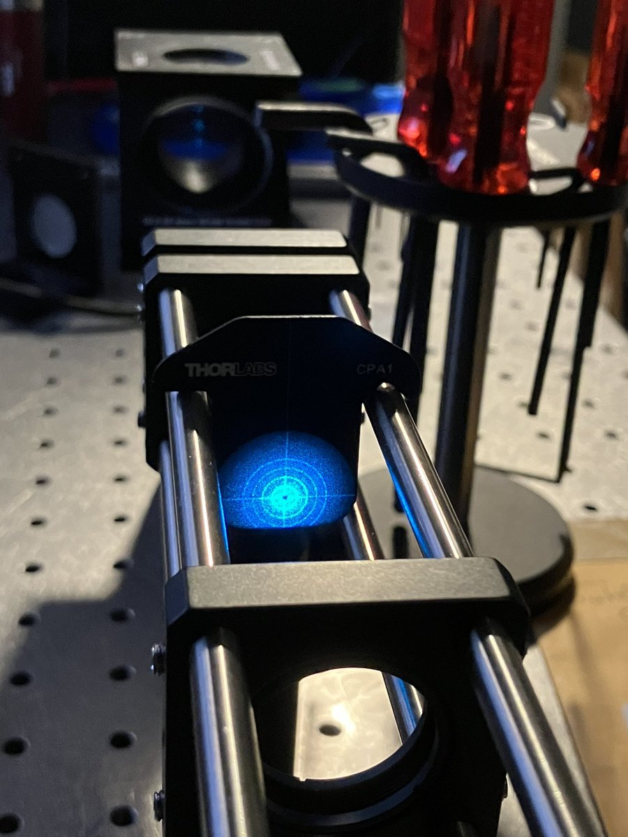 CLangevin_INRAE's tweet image. Last week was very productive for the French @MesoSpim team of @UnivParisSaclay. After receiving the missing galvo mirror, we finished aligning the lasers and imaged the first sample of a long series!!! @INRAE_DPT_SA @ENS_ParisSaclay @in_emerg @INRAE_IDF