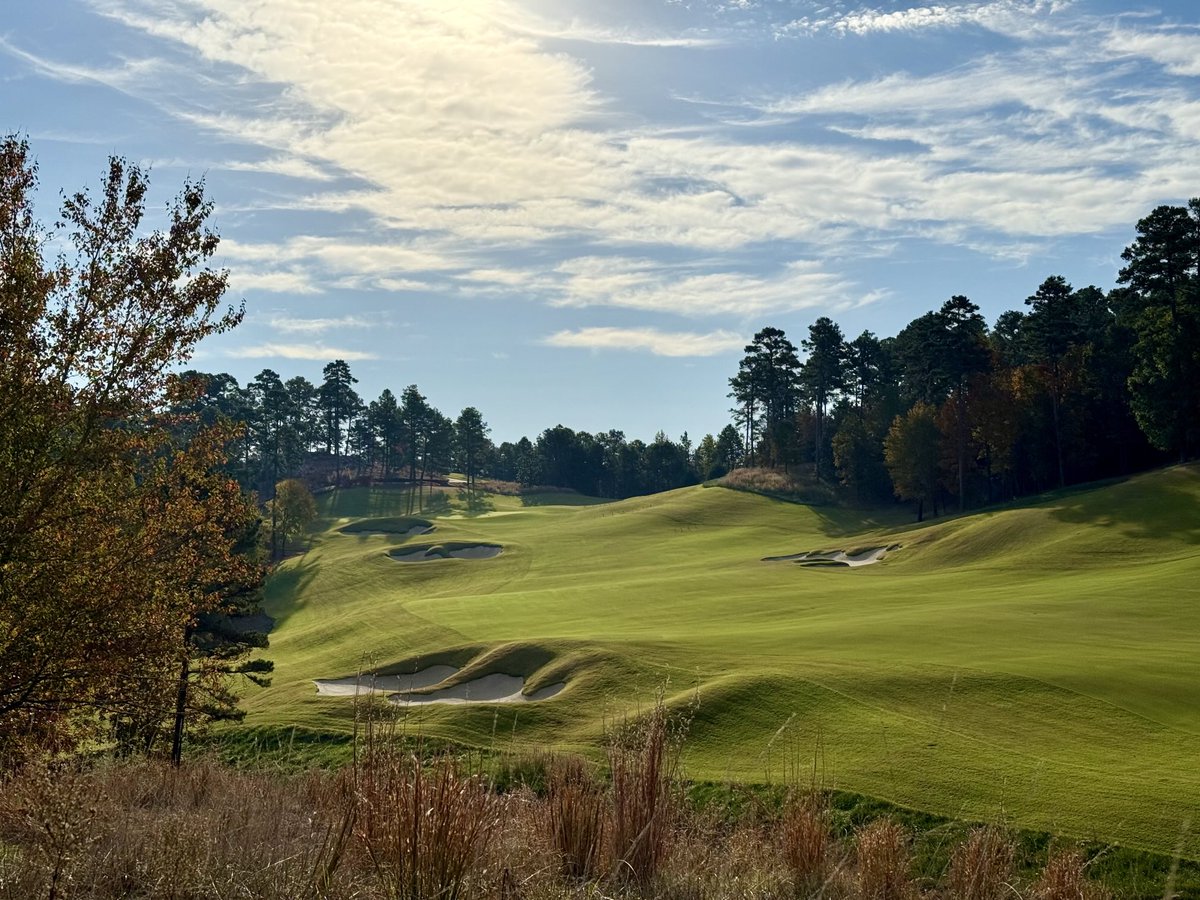 Koji Mitchell tweet media