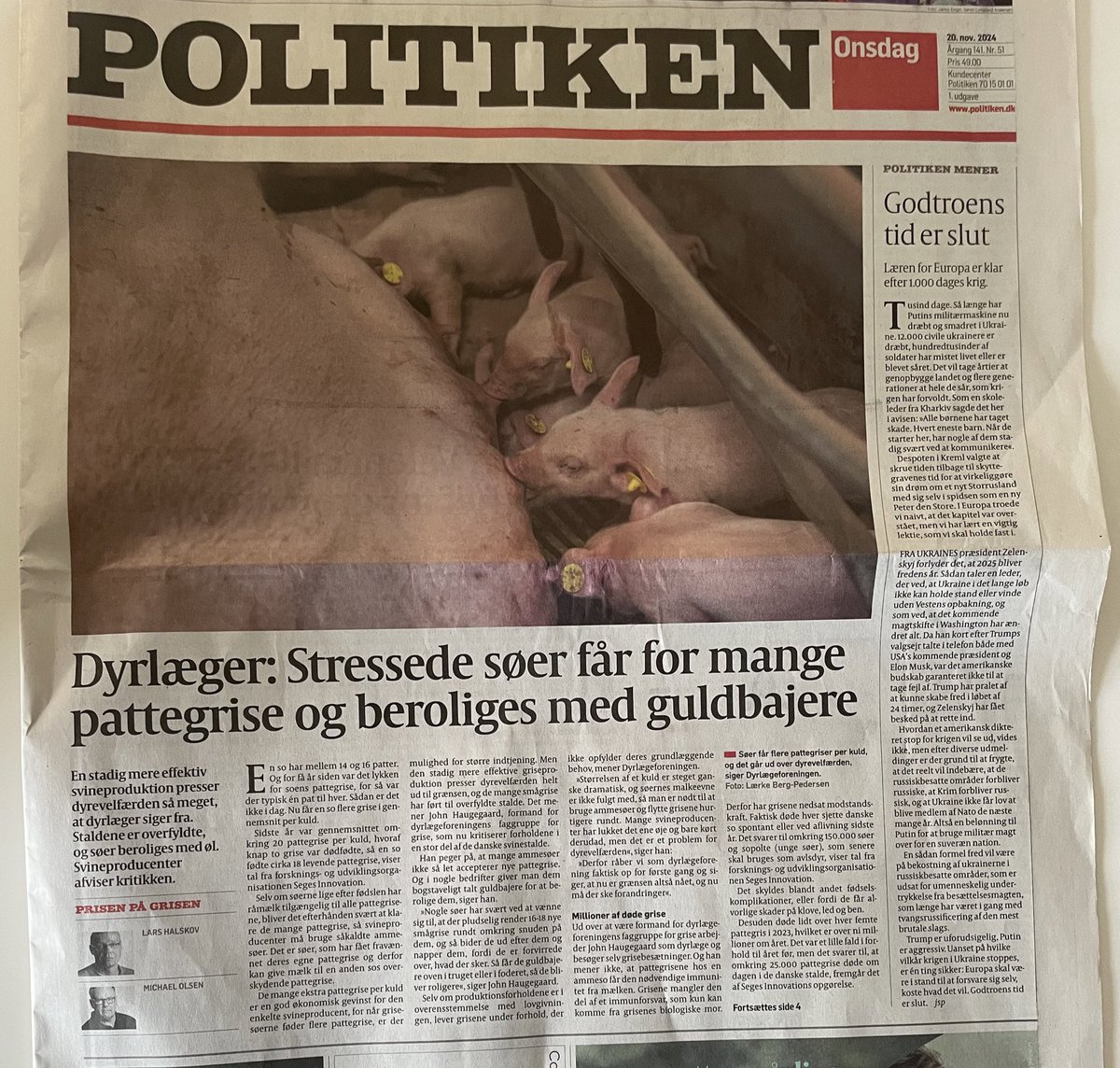 Jeg ønsker jer sgu en rigtig elendig jul… alle jer, der står bag det her! 25.000 pattegrise dør om dagen i de danske stalde. Hver 6. so dør spontant eller ved aflivning. Dyrlægerne siger “grænsen er nået” 
Det er på tide, at der tages politisk ansvar og handles…