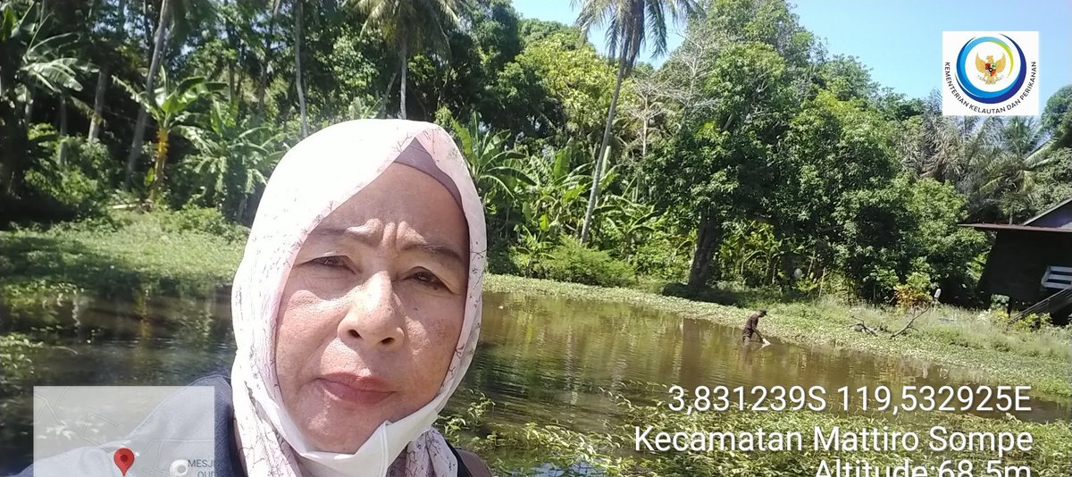 MLuhkan's tweet photo. Muliyati,Selasa (19/11/24),Muliyati,Luhkan kab.Pinrang,,Muhammaming di Pokdakan Potongnge Desa Mattongang tongang,panen udang windu,tambak tradisional,sebanyak 12kg, size 60,harga jual Rp.67.000/kg 
#GiatluhkanSatminkalMaros
#Pinrang
#Panen
#Luhlapor
@bppsdm_kp 
@BRPBAP3_Maros https://t.co/Gb7mDHIhXo