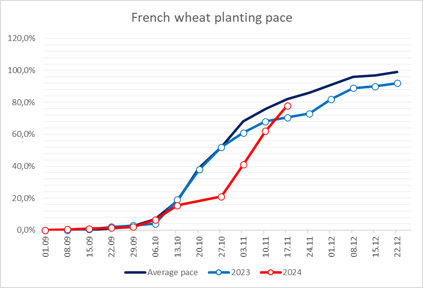 #Wheat #sowing is nearing finish. In #Ukraine area is 4.4 mln ha, crop conditions good. Some fields have problems, but their share is 5-7%. Now we see problem in #EU. Maybe farmers can't sow according to plan. Forecast model shows a lot of precipitation in #France and #Germany