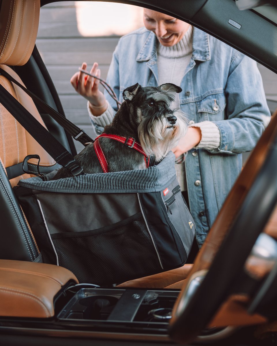 Dog Safety is the number one goal with all products in the EzyDog Drive range. The Drive™ Booster Seat is designed to be attached using both the existing car seat belt, as well as the back of your car seat for extra stability.

#ezydog #dogtravel #dogs #dog #dogsafety #dogtravel