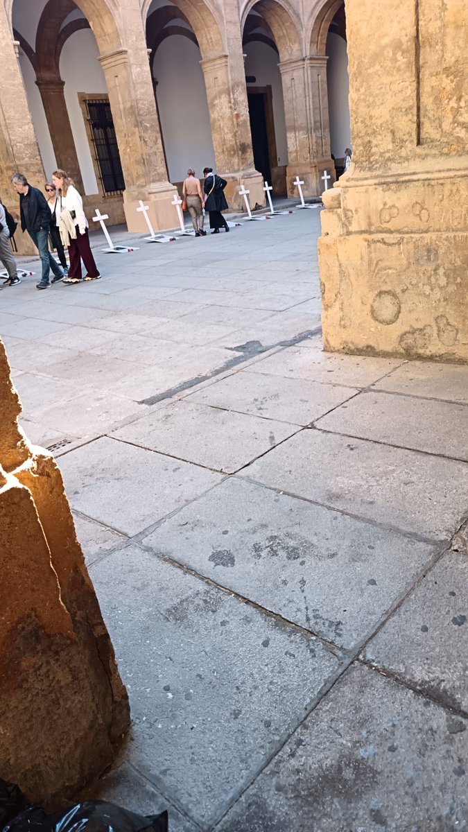 Libres y Combativas Andalucía tweet media