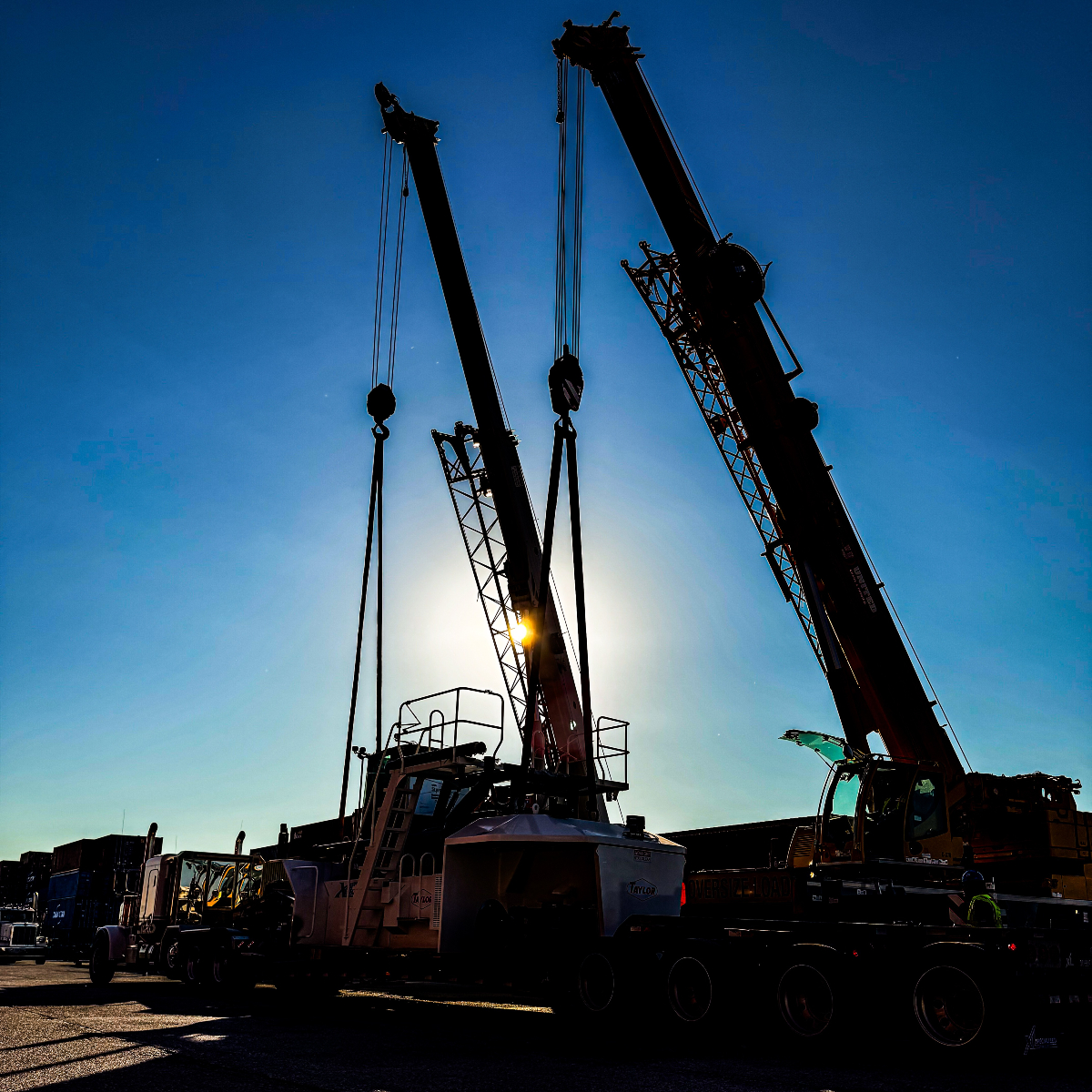 Many cranes make light work.

📸 Tony Giorgilli