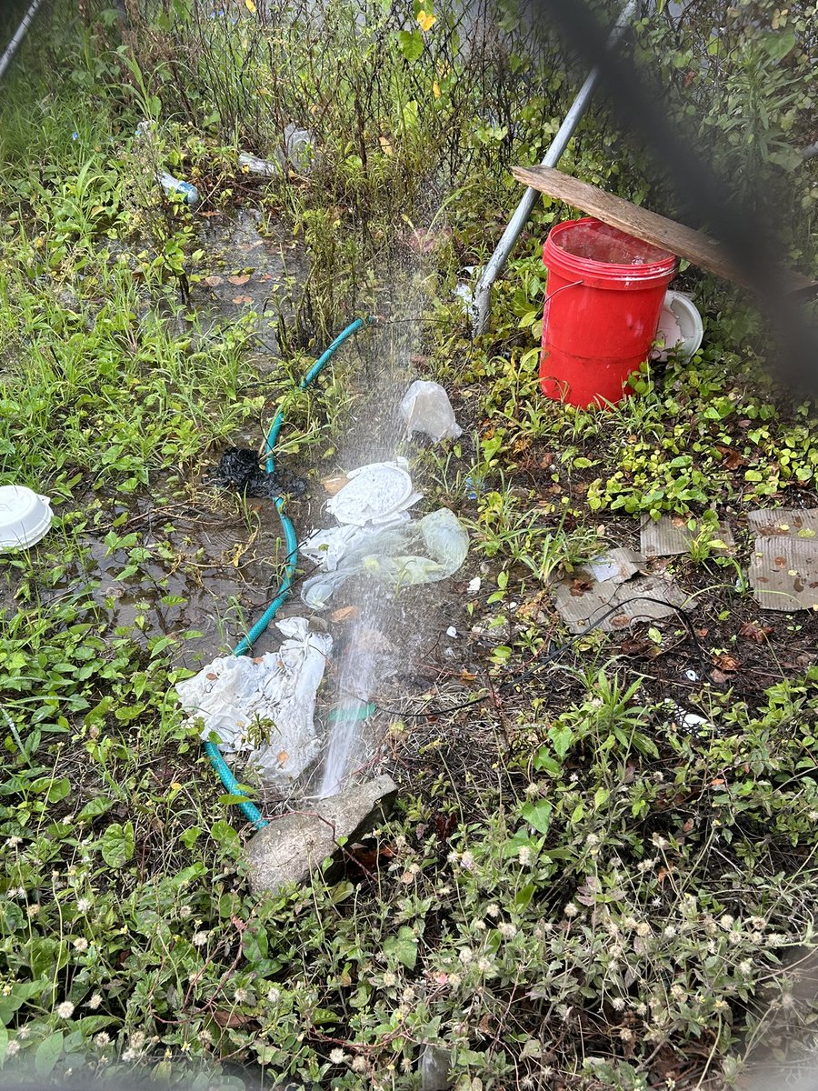 Por favor señores de <a href="/interagua/">Interagua C. Ltda</a> en los terrenos de Torre Ferrara en Sta Cecilia existe esta fuga de agua desde hace tres semanas no se puede permitir que se desperdicie de esta manera este recurso tan valioso <a href="/aquilesalvarez/">Aquiles Alvarez Henriques</a>