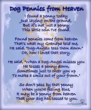 catgirl321's tweet photo. #PURRS for @3phibotticelli #Purrs4MomAndDad💔 PURR PURR PURR PURR PURR PURR PURR PURR PURR PURR PURR PURR PURR PURR PURR PURR PURR PURR PURR PURR #weeti #ForeverLove #AngelPhi
#OTRB November 20 2013🌈 https://t.co/rzB1on8czi