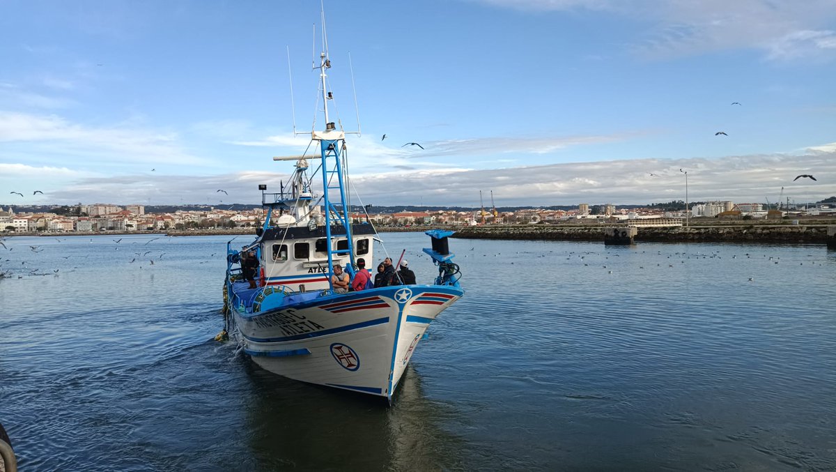 MaltaSeabirds's tweet image. 🌊Every year, the LIFE PanPuffinus! Steering Committee get together to discuss technical and financial progress and the plans for 2025. This year, our lovely partners in Portugal, SPEA hosted us in Figueira da Foz 

This seaside town is made up of different harbours where fishing…