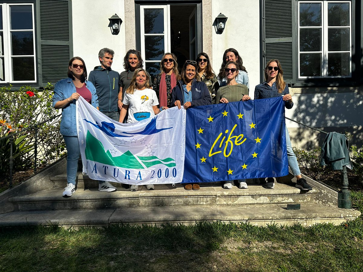 MaltaSeabirds's tweet image. 🌊Every year, the LIFE PanPuffinus! Steering Committee get together to discuss technical and financial progress and the plans for 2025. This year, our lovely partners in Portugal, SPEA hosted us in Figueira da Foz 

This seaside town is made up of different harbours where fishing…