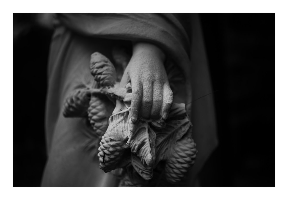 Chris Murray (@pensivechris) on Twitter photo 