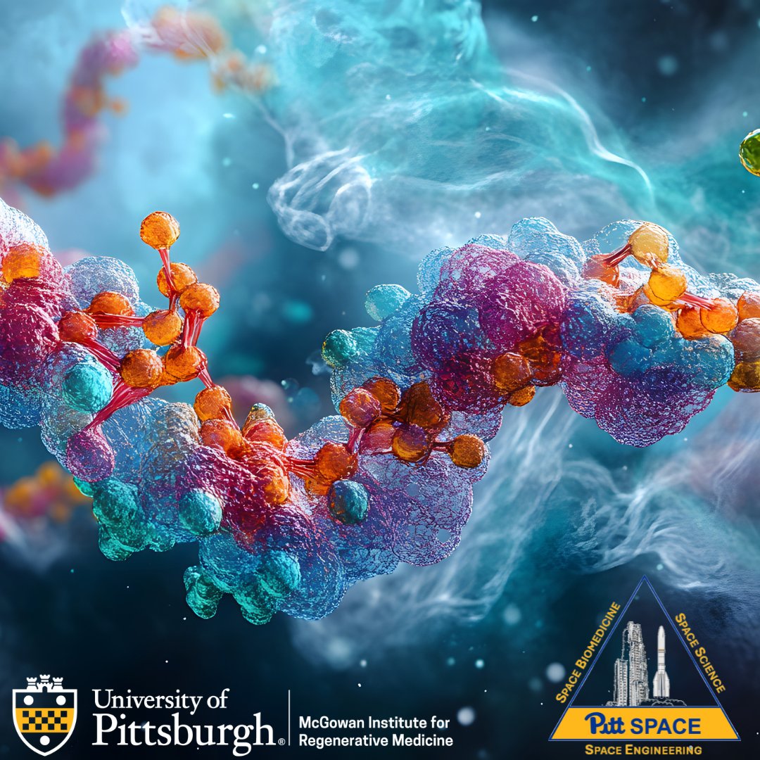 Dr. Afshin Beheshti, has been involved in developing sChemNET, a  learning framework that predicts small molecules capable of targeting miRNAs. , Read article full article here. smpl.is/9uq1g