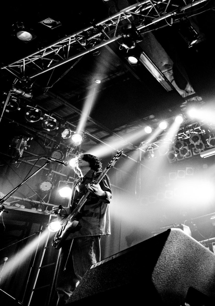 Dalmatian ISM tweet media